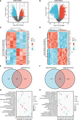 CEP55 as a promising biomarker and therapeutic target on gallbladder cancer